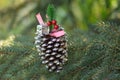 Silver pinecone with red berrirs as gift for you, green nature background. Royalty Free Stock Photo