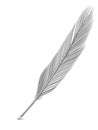 Silver or platinum feather quill over white