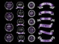 Silver purple luxury premium quality label badges on black background vector