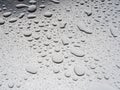 Silver Raindrops Texture