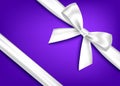Silver  realistic gift bow with horizontal  ribbon Royalty Free Stock Photo