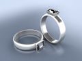 Silver rings Royalty Free Stock Photo