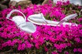 Silver sandals, women's Italian shoes