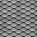 Silver Scales Royalty Free Stock Photo
