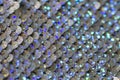 Silver sequin fabric close up Royalty Free Stock Photo