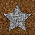 Silver sequin star on brown leather background