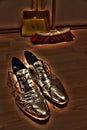 Silver Shoes Royalty Free Stock Photo