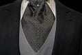 elegant tuxedo with cravat Royalty Free Stock Photo