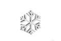 Silver Snowflake - 3D Render Illustration