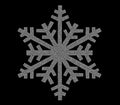 Silver snowflake icon