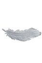 Silver sparkling feather. Isolate on white.