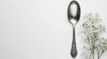 A silver spoon with decorative details is shown against a plain white background, emphasizing its shiny surface Royalty Free Stock Photo
