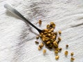 A silver spoon holds several light-brown coffee beans scattered on a textured white fabric Royalty Free Stock Photo