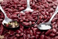 Silver spoons with salt, pepper and beans on heap of kidney beans