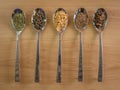 Silver spoons with various spices Royalty Free Stock Photo