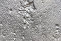 Silver sprayed wall as silver background with a cool structure of gray and aluminium surface is a modern and grunge texture Royalty Free Stock Photo