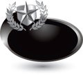 Silver star shield on silver swoosh icon