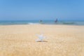 Silver starfish, star on sand beach with sea water background. Vacation concept.