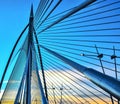 Silver steel bridge, seri wawasan bridge Putrajaya Malaysia.