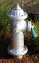 Silver street fire hydrant Royalty Free Stock Photo