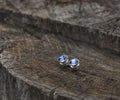 Silver stud earrings with blue cabochons is on an old stump