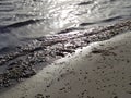 Silver sunset over the beach of bribie island Royalty Free Stock Photo