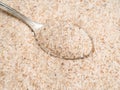Silver teaspoon in Psyllium husk close up Royalty Free Stock Photo