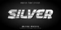 Silver text, shiny silver style editable text effect