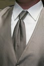 Silver Tie Royalty Free Stock Photo