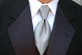 Silver tie and tux Royalty Free Stock Photo