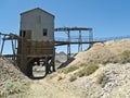 Silver Top Grizzly in Tonopah, Nevada