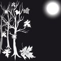 Silver tree maple and moon