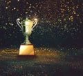 Silver trophy on abstract gold glitter background.
