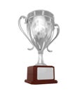 Silver Trophy Cup