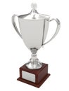 Silver trophy cup on wood pedestal