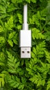 Silver USB Connector Surrounded by Fresh Green Foliage Concept for Technology and Environment Integration Close Up Royalty Free Stock Photo