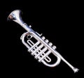 Silver Vintage Toy Trumpet Royalty Free Stock Photo