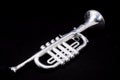 Silver Vintage Toy Trumpet Royalty Free Stock Photo