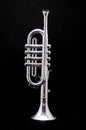Silver vintage toy trumpet on a black background Royalty Free Stock Photo