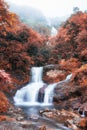 Silver waterfall or Thac Bac on fog in autumn Royalty Free Stock Photo