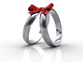 Silver wedding rings Royalty Free Stock Photo