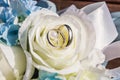 Silver wedding rings are on petals of artificial rose