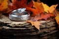 silver wedding rings on a weathered stump, with autumn leaves around