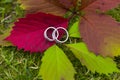 Silver or white gold or platinum wedding rings