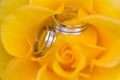 Silver or white gold or platinum wedding rings