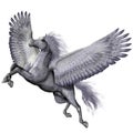 Silver Winged Pegasus Royalty Free Stock Photo