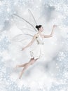 Silver winter fairy Royalty Free Stock Photo