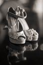 Silver Women Shoes Royalty Free Stock Photo