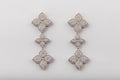 Silver womens earrings in the shape of flowers with diamonds isolated on a white background.