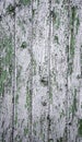 Silver wood background Royalty Free Stock Photo